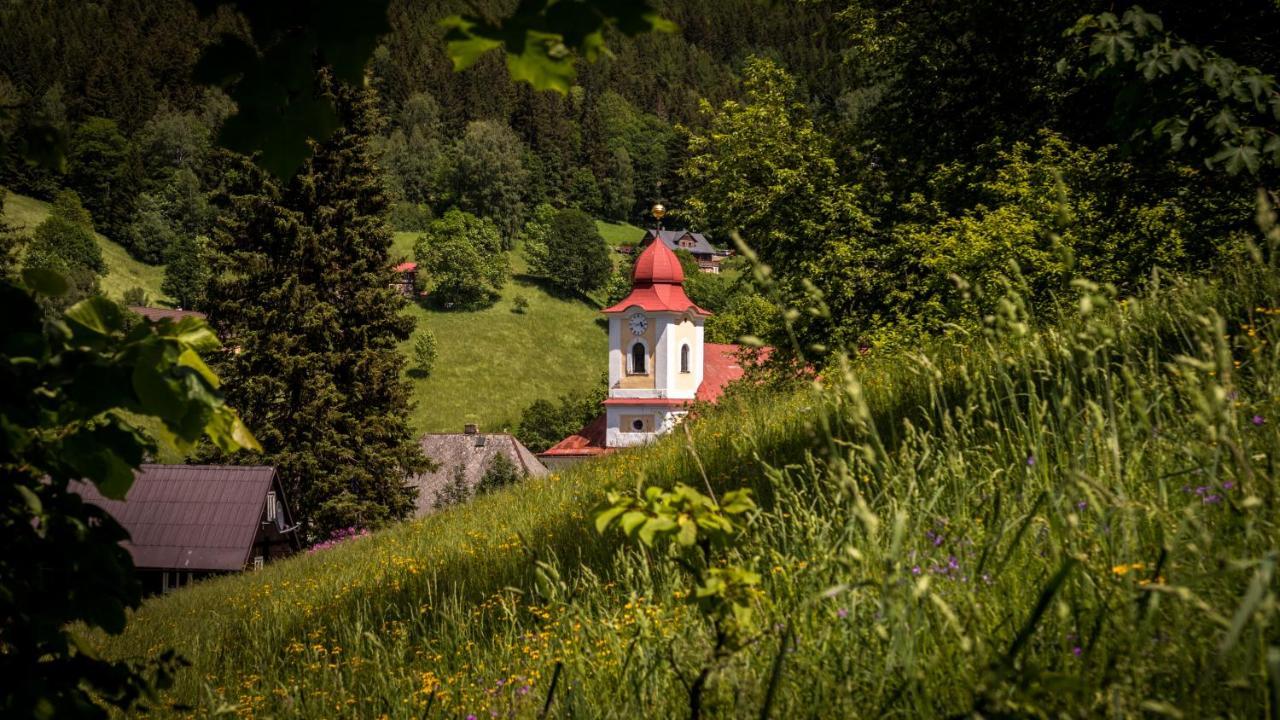 Pension U Pece Pec pod Sněžkou Eksteriør bilde