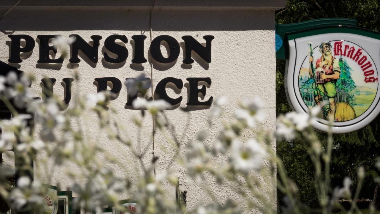 Pension U Pece Pec pod Sněžkou Eksteriør bilde